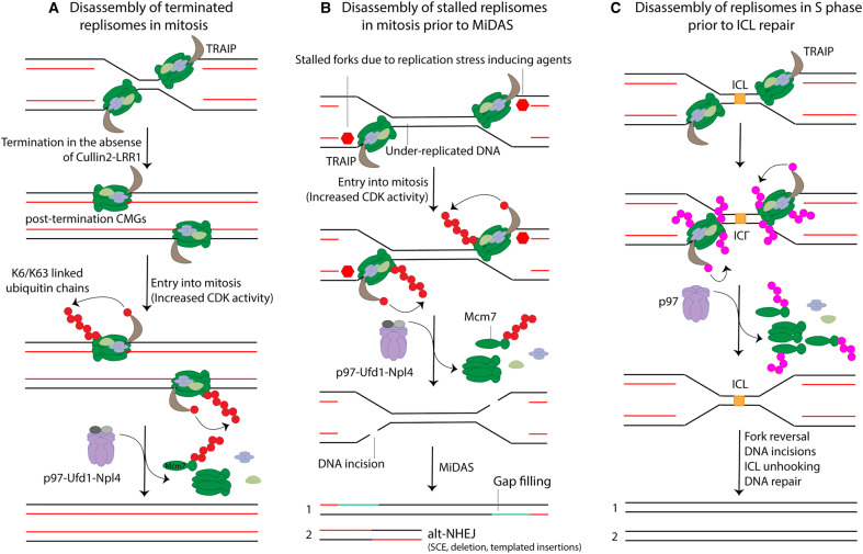 Figure 4.