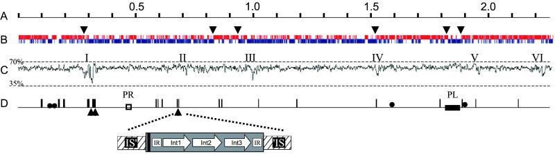 Fig 1.