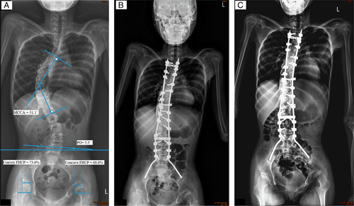 FIGURE 1