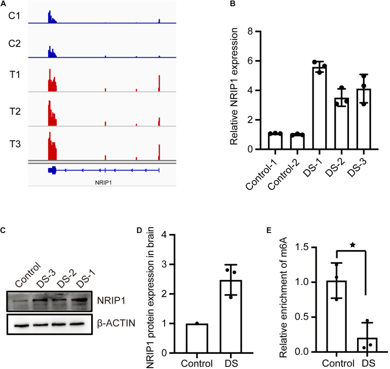 FIGURE 3