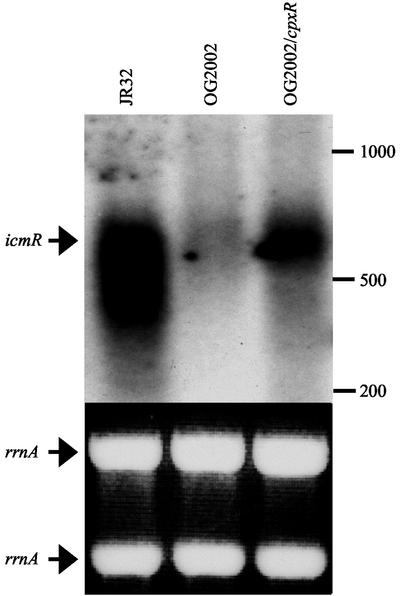 FIG. 5.