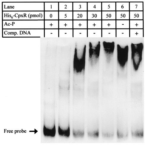 FIG. 7.