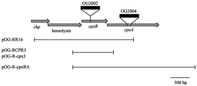 FIG. 2.