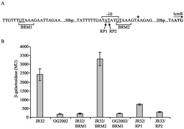 FIG. 6.