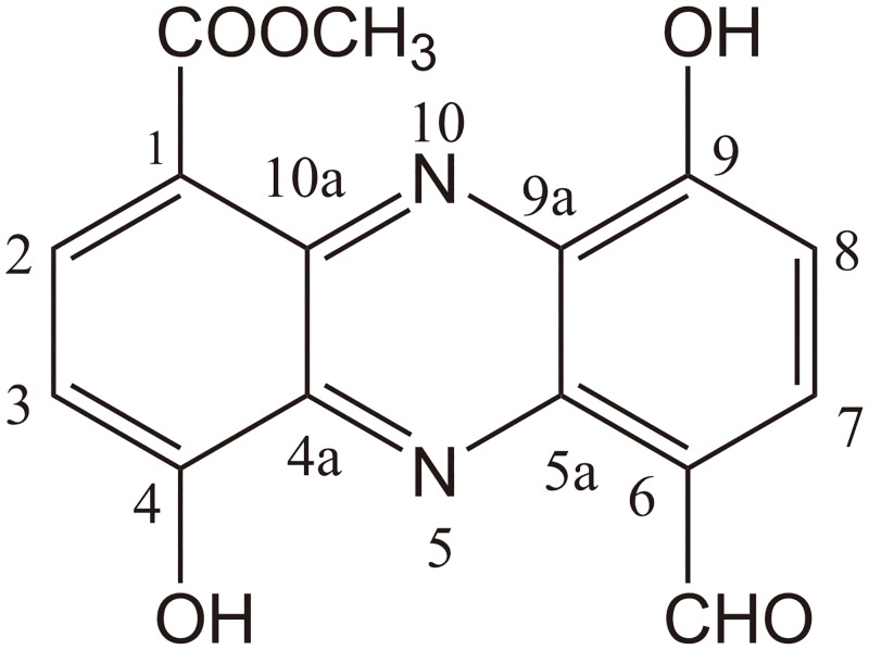 Fig 6