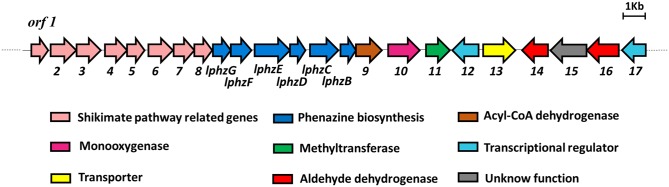 Fig 1