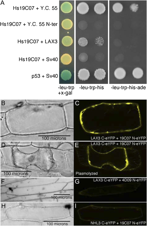 Figure 2.