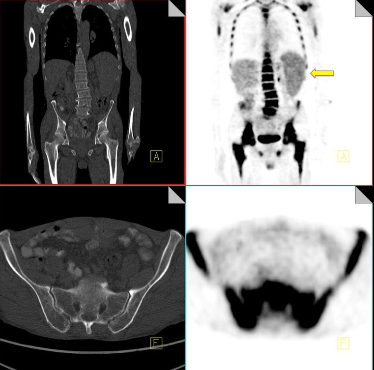 Fig. 9