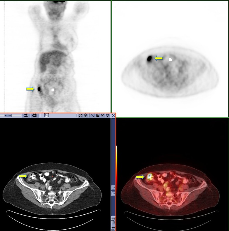 Fig. 7