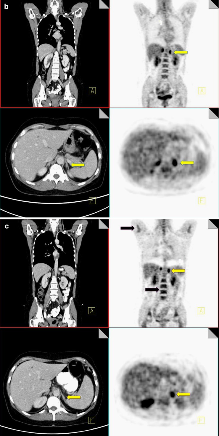 Fig. 6