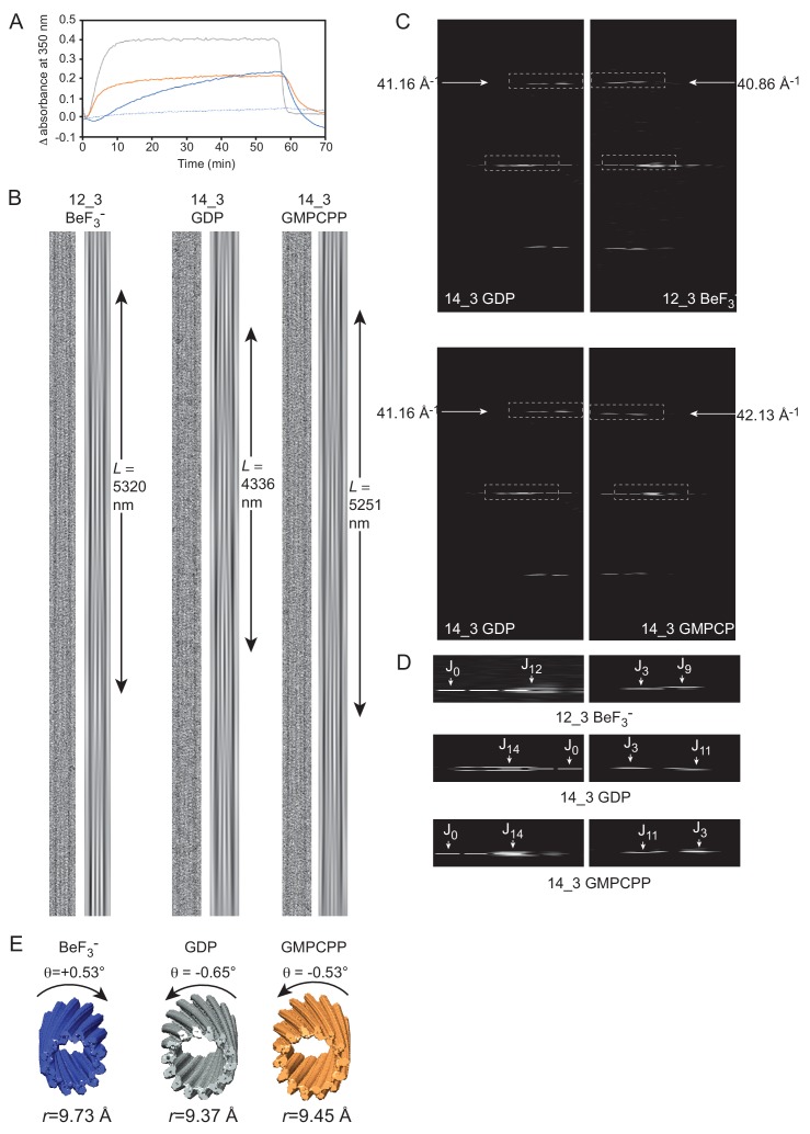 Figure 4—figure supplement 1.