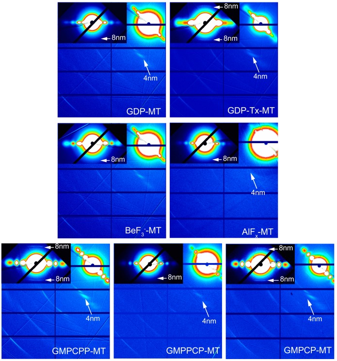 Figure 3—figure supplement 2.