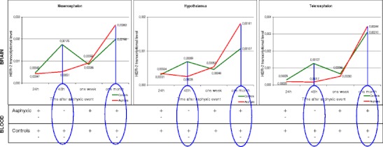 Fig. 13