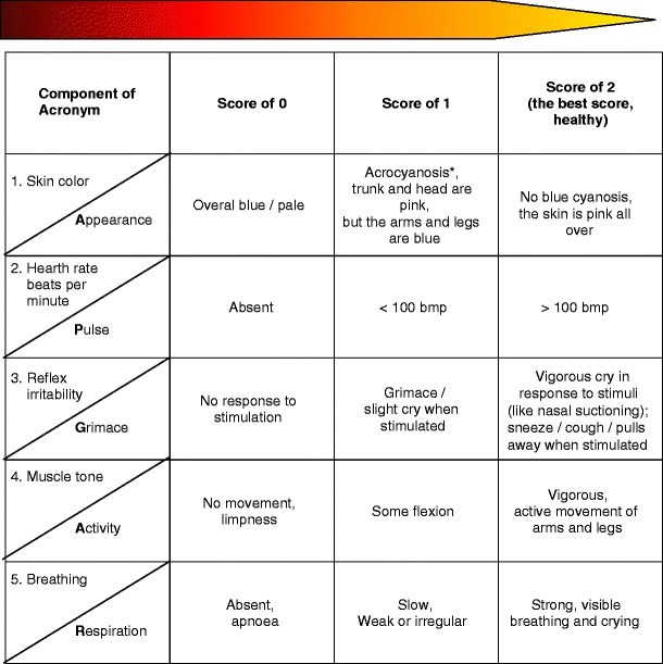 Fig. 8