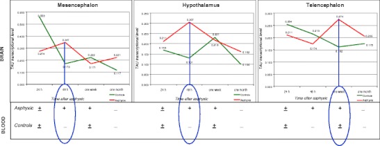 Fig. 12