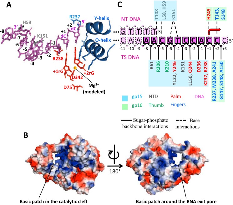 Figure 3.