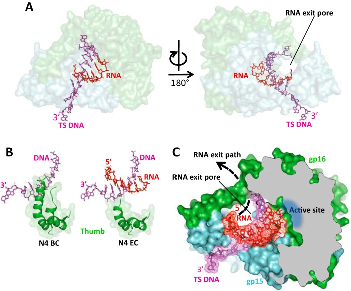 Figure 4.