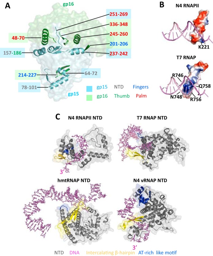 Figure 2.