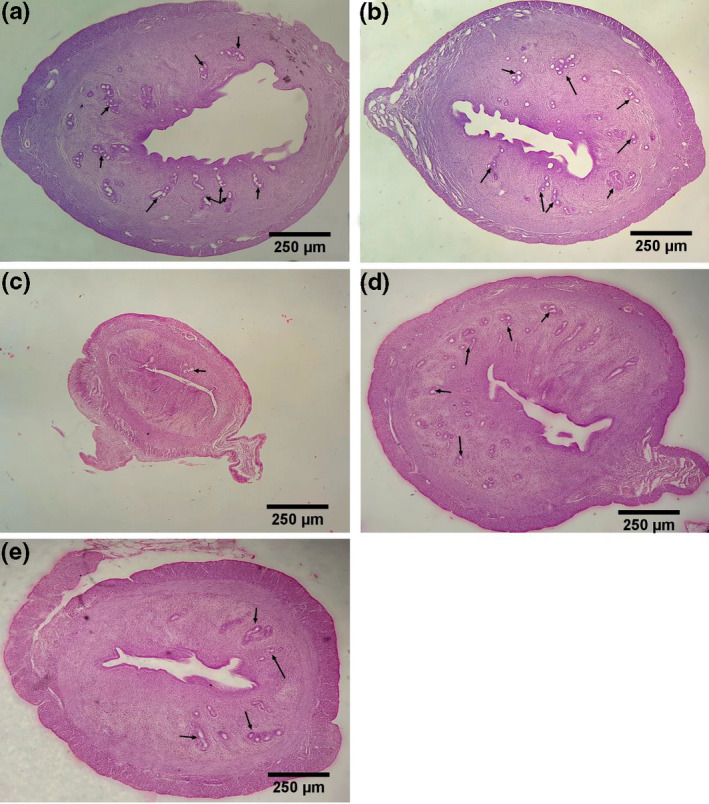 FIGURE 10