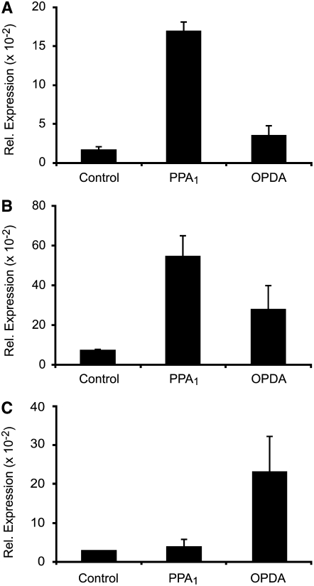 Figure 6.