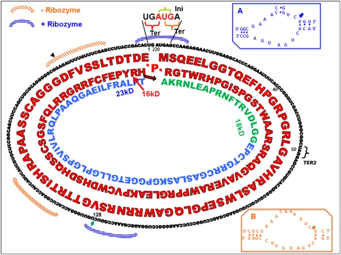 Fig. 6.