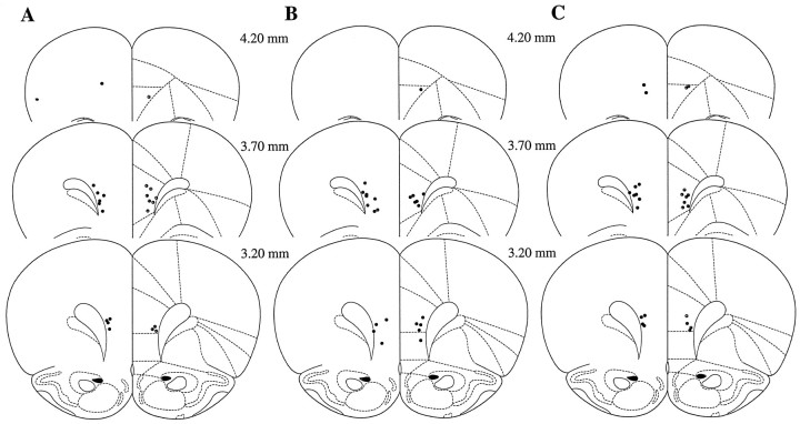 Fig. 5.