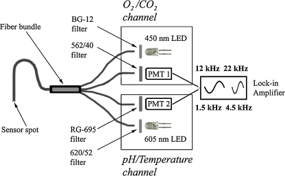 Fig. 1