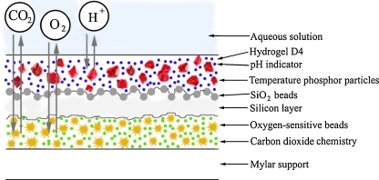 Fig. 3