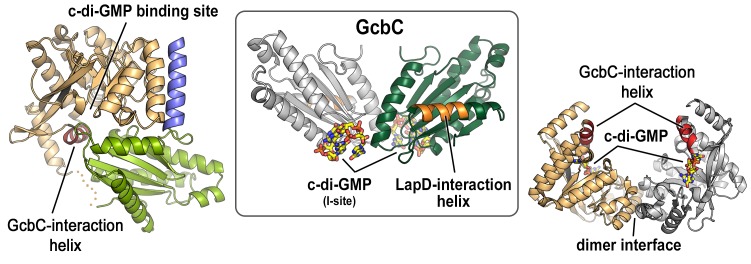 Figure 1—figure supplement 1.