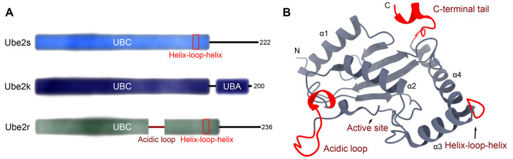 Figure 2.