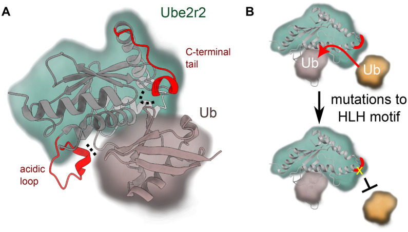 Figure 5.