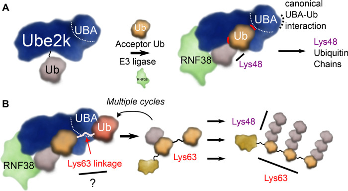 Figure 4.