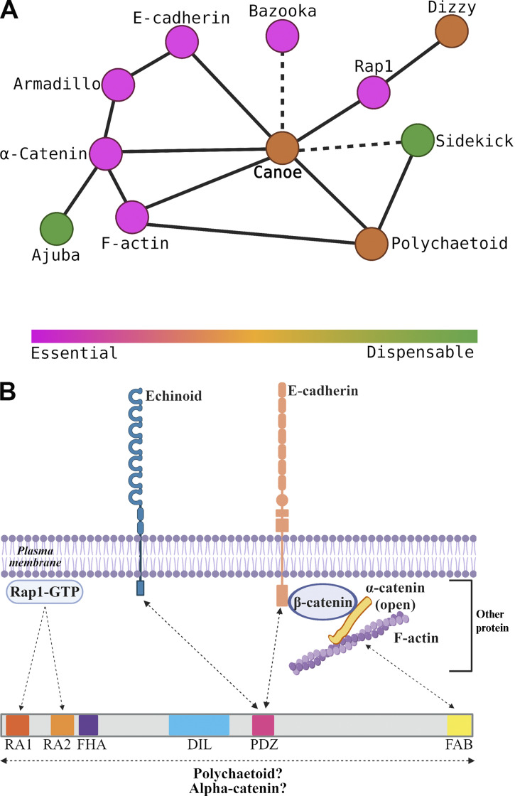 Figure 10.