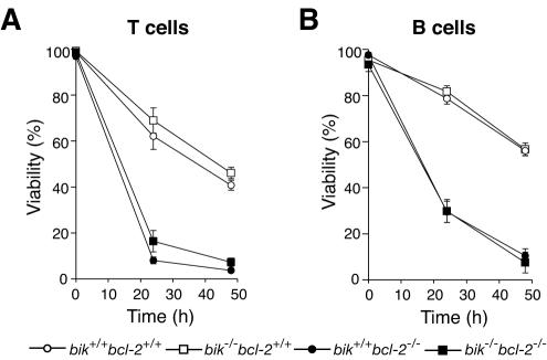 FIG. 9.