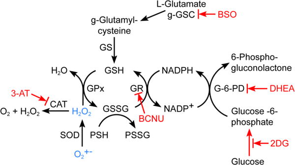 Fig. 2