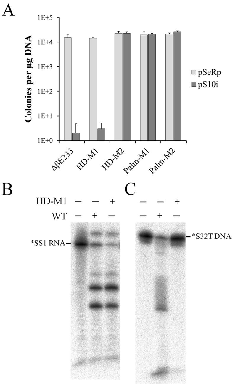 Figure 6.