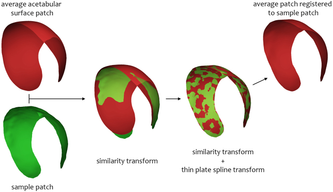 Figure 8