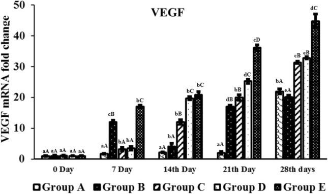 Fig. 10