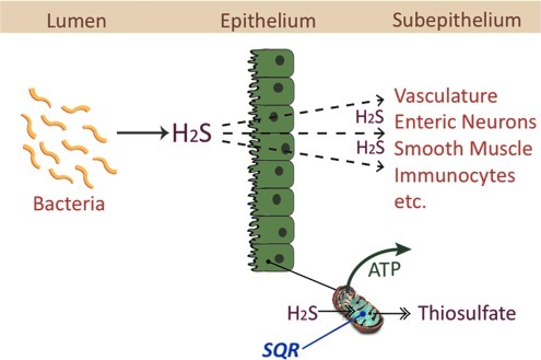 FIG. 6.