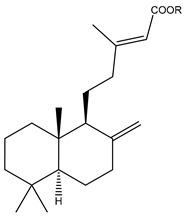 graphic file with name nutrients-11-02396-i017.jpg