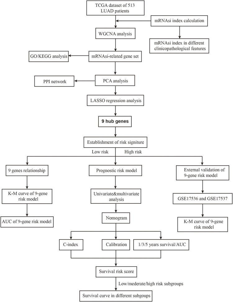 FIGURE 1