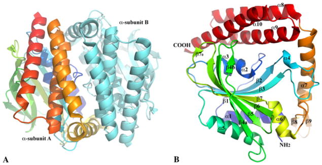 Fig. 1