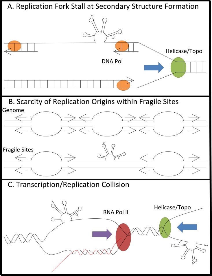 Fig. (4)