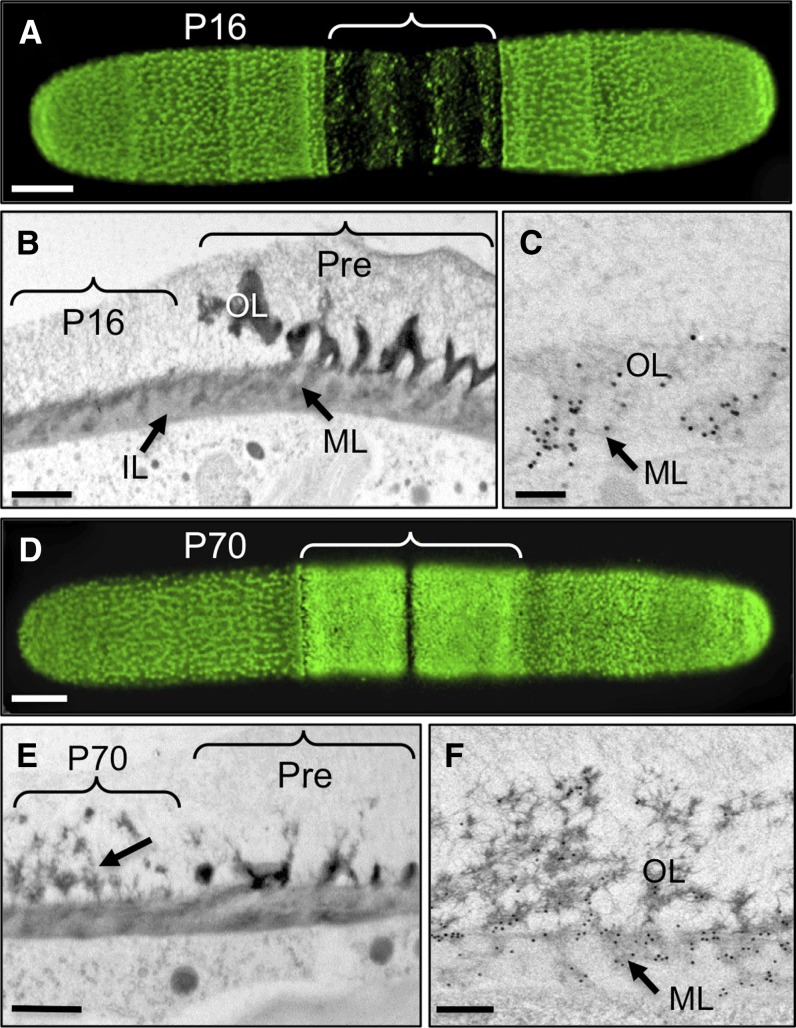 Figure 9.