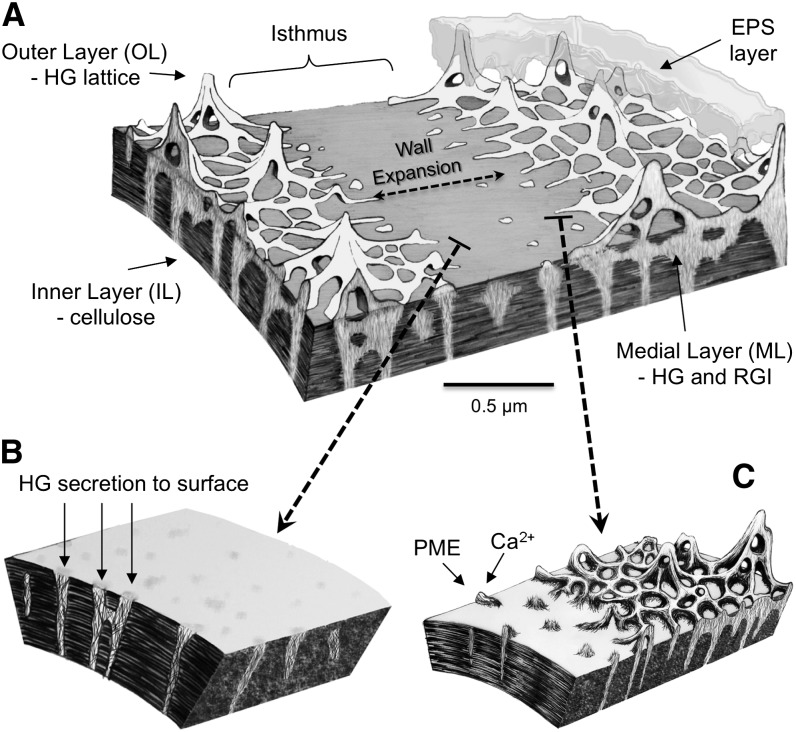 Figure 12.