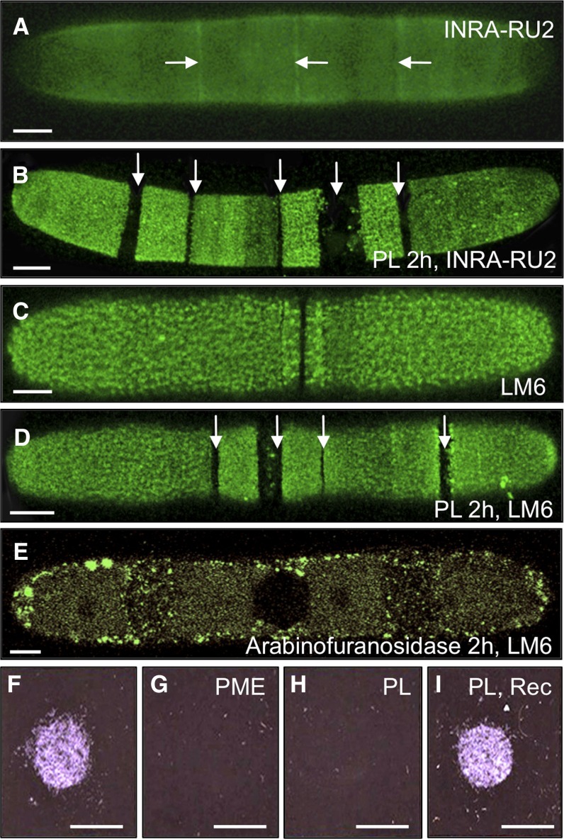 Figure 10.