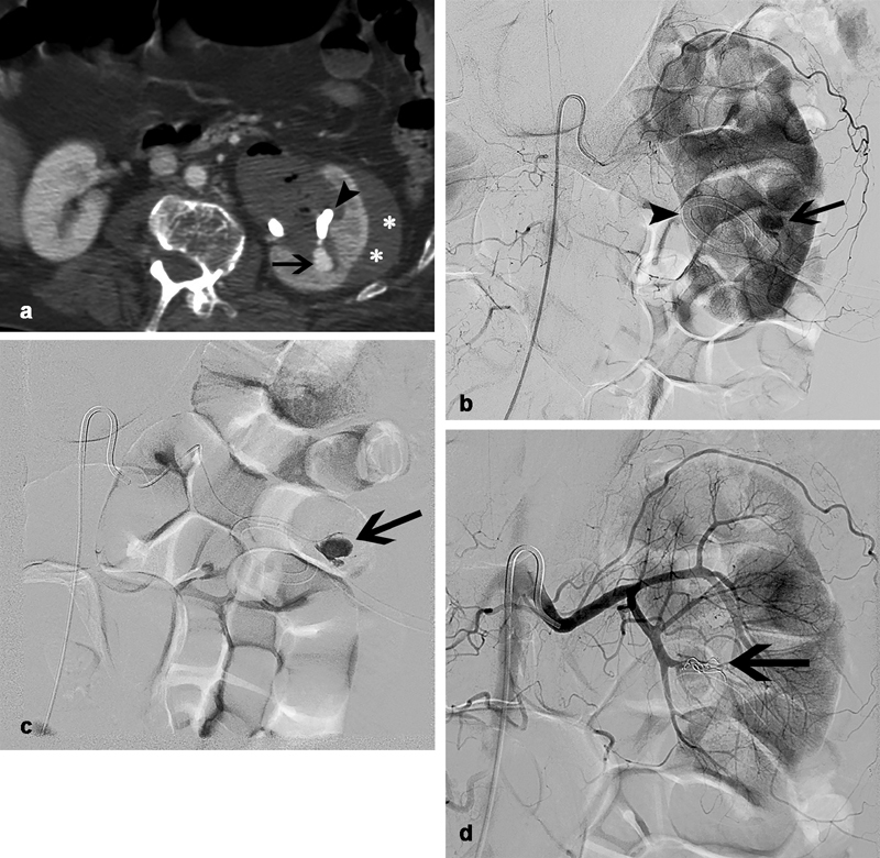 Fig. 8