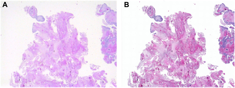 Figure 2