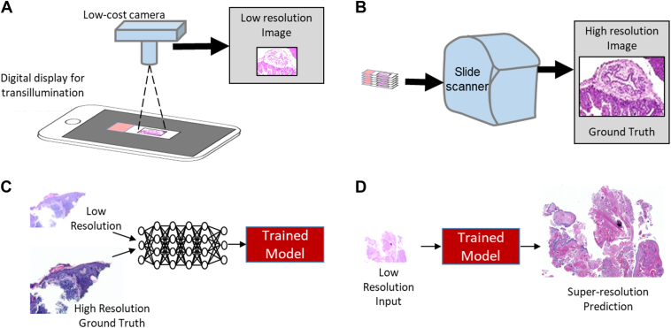 Figure 1