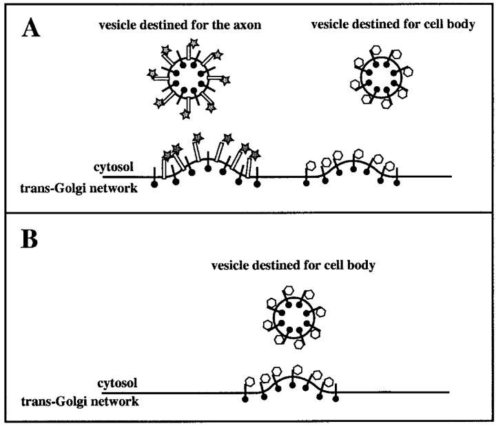 Figure 10.